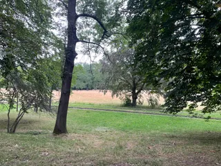 Stadt Park
