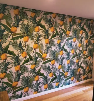 Sydney Wall Murals & wallpapering