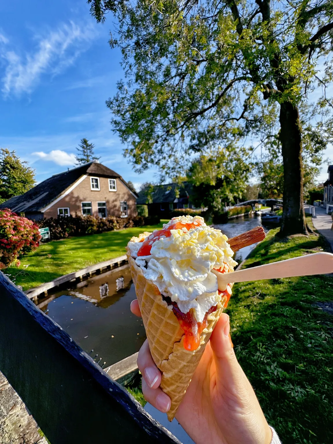 Venice Giethoorn