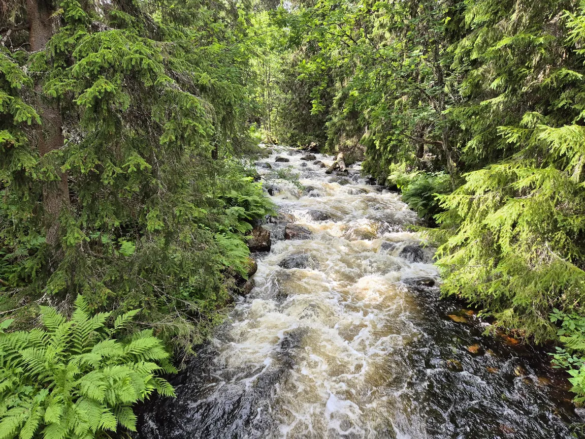 Park Narodowy Fulufjället