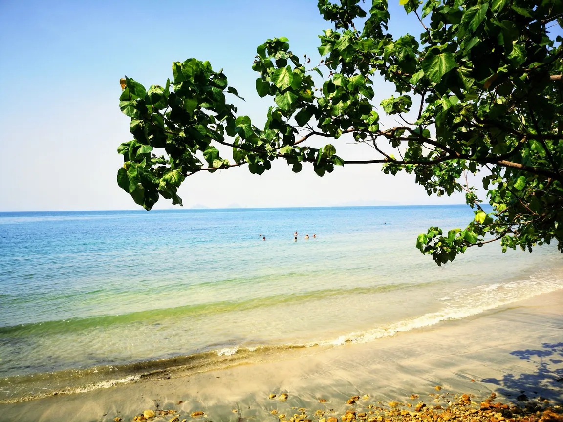Coconut Beach