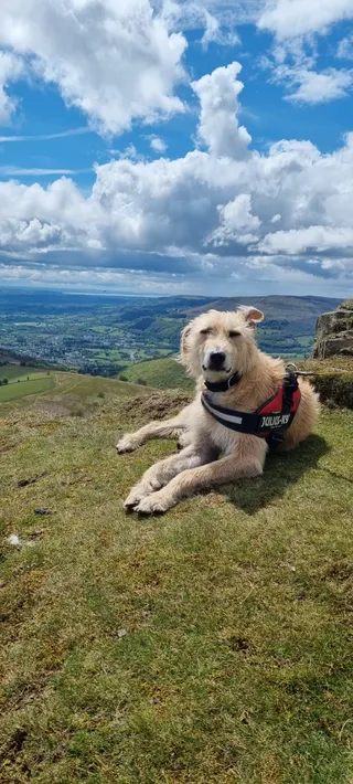 National Trust - Sugarloaf and Usk Valley