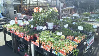Royal Home Center
