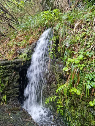 PR10 Levada do Furado - Ribeiro Frio - Portela