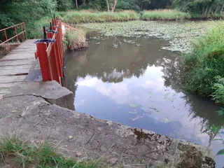 Młyn Łyżwy