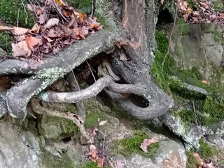 Wupper zwischen Strohn und Burg