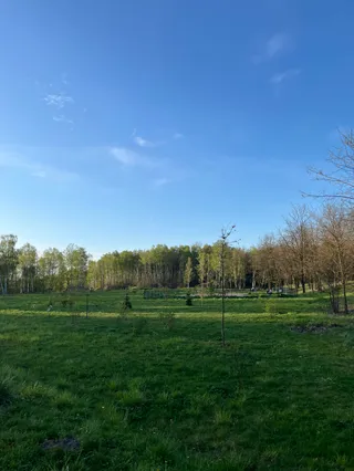 Jaworzno spacer z psami