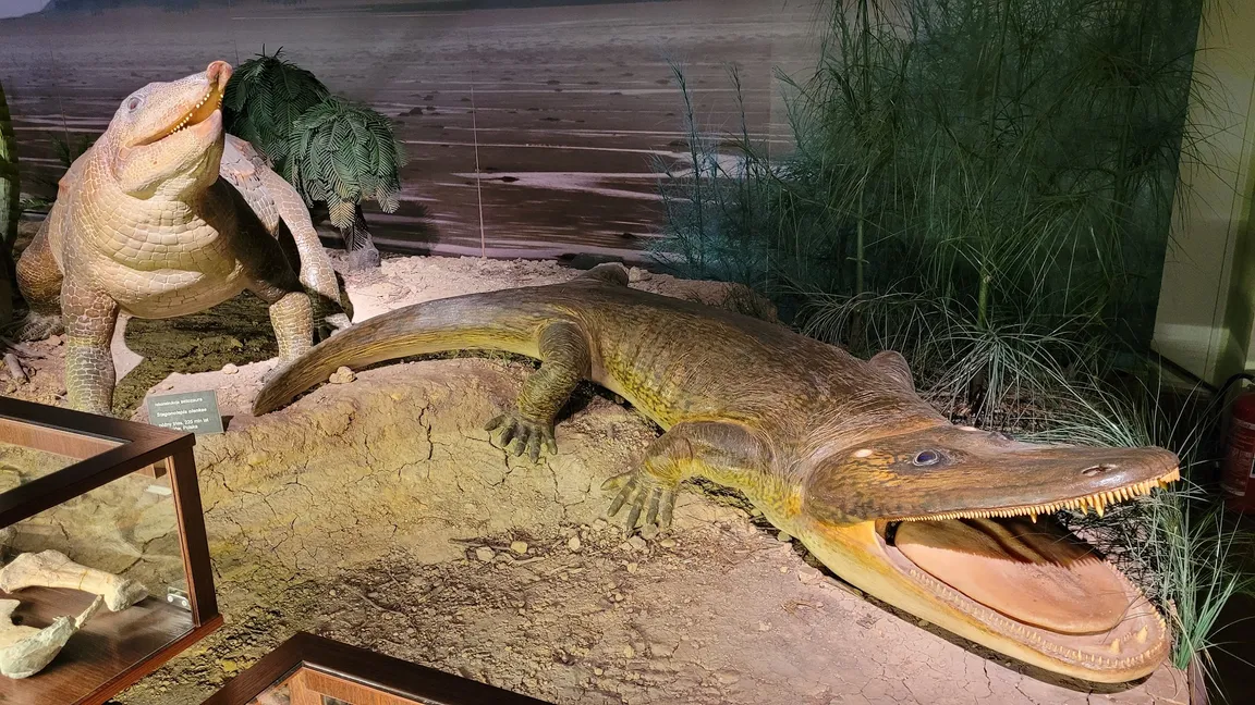 Muzeum Ewolucji w PKiN