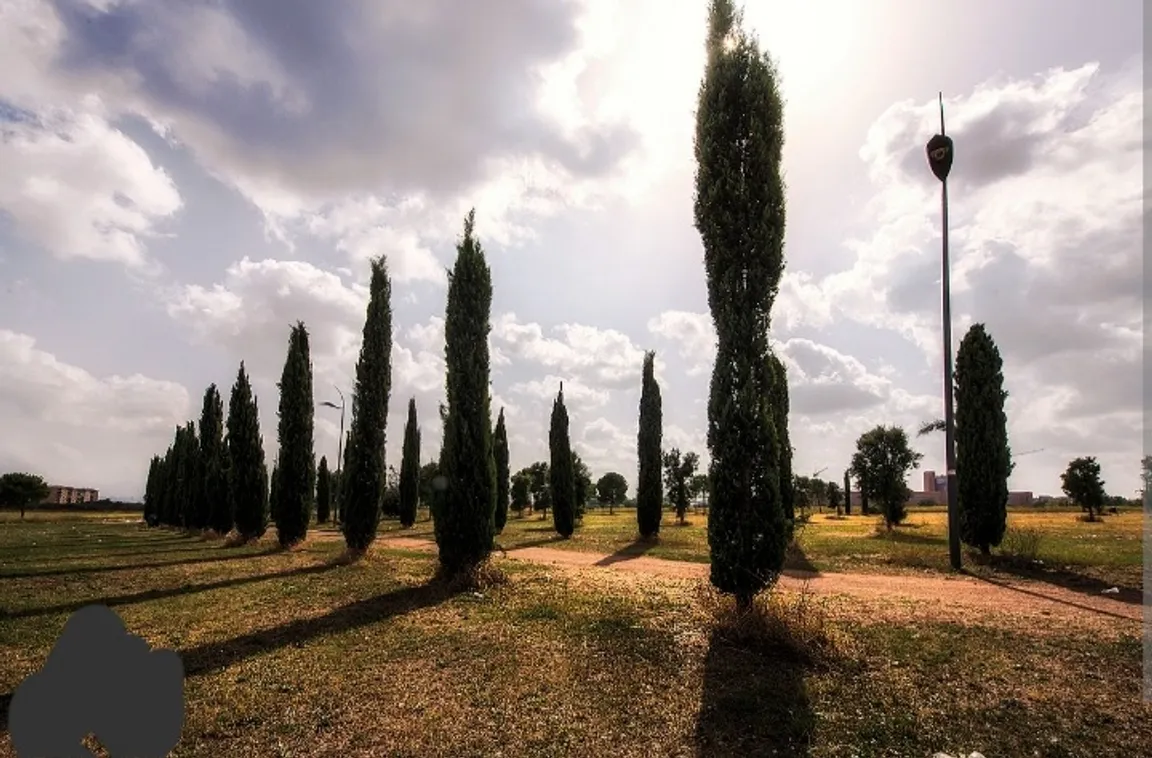 Parco Archeologico di Centocelle