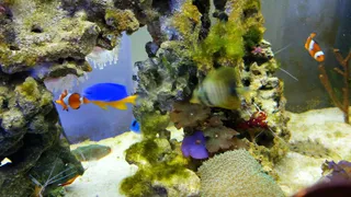 Blue Planet Aquarium