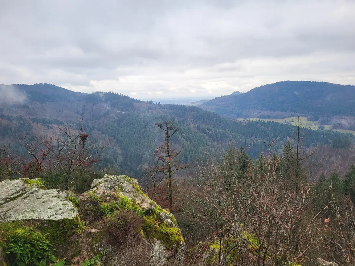Kreuzfelsen (Bernickelfelsen)