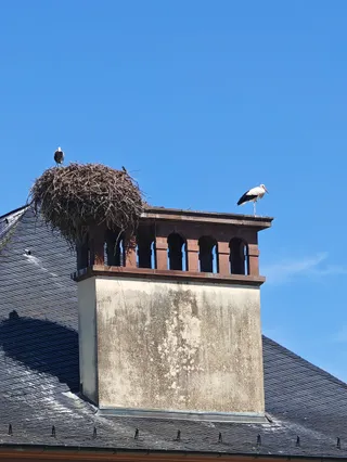 Les Amours du Poète