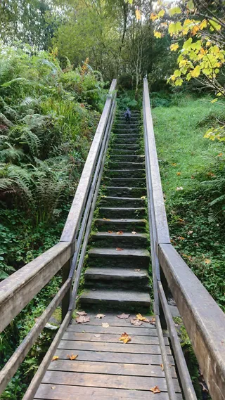 Gortin Glen Forest Park