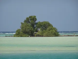 Marsa Alam Tours