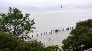 红树林鸟类自然保护区