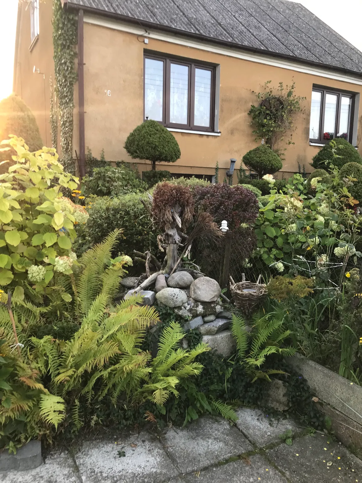 Wooden Sculptures Garden