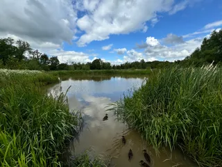 Edenbrook Country Park