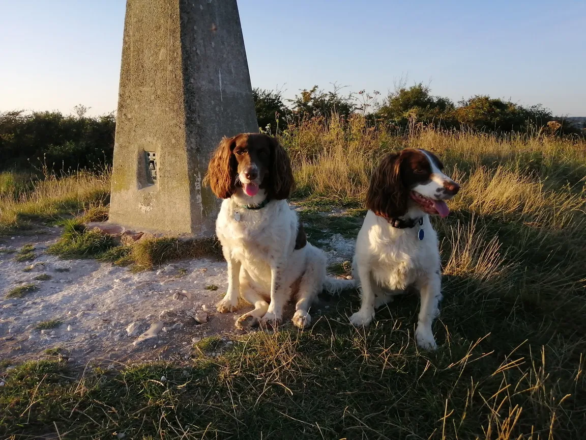 Highdown Hill