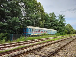 Susiec 66 Szyszek