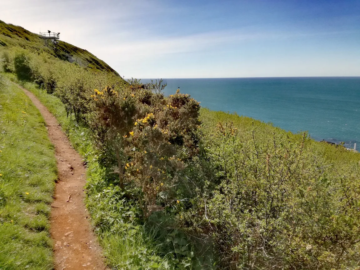 South Devon National Landscape