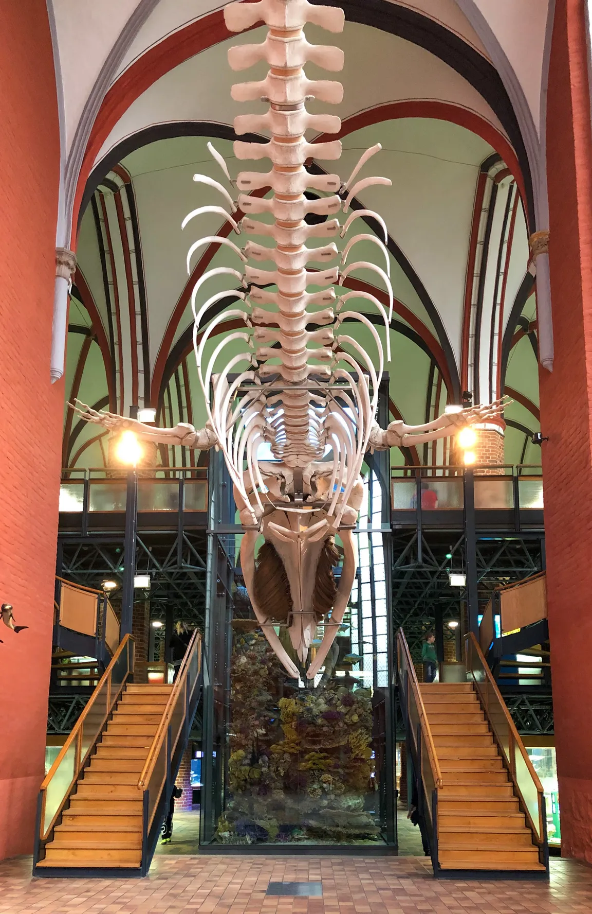 German Oceanographic Museum