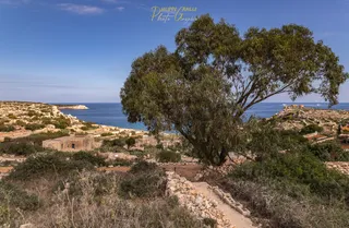 Imgiebah Bay