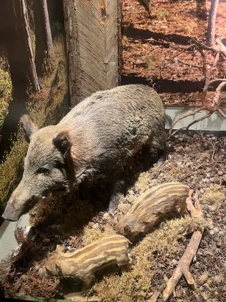 Muzeum Ziemi Piskiej