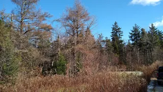 Tamarack Hollow Nature & Cultural Center