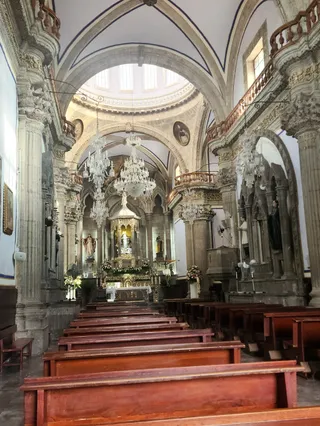 Municipal San Pedro Tlaquepaque licenses