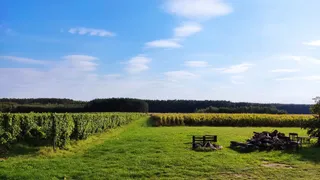 Winnica Cantina
