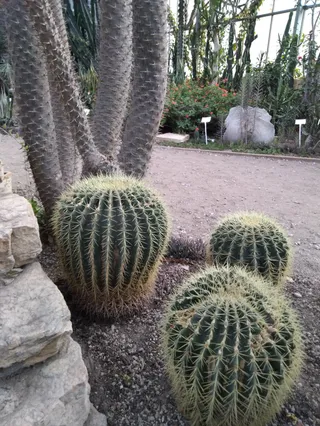 PAN Ogród Botaniczny – CZRB w Powsinie
