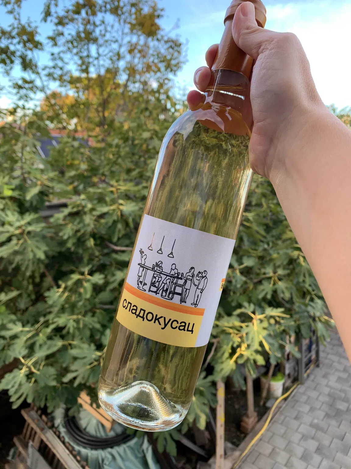 Topić vino