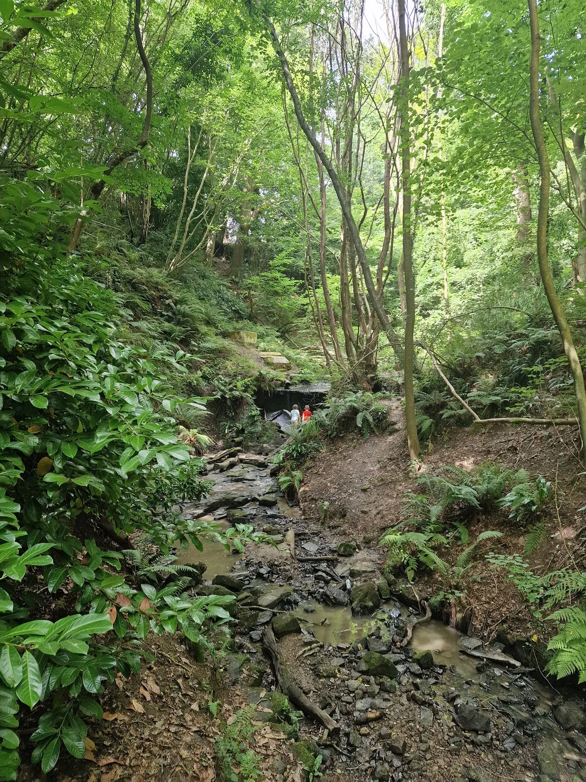 Old Roar Gill
