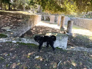 Roman Villa, NP Brijuni