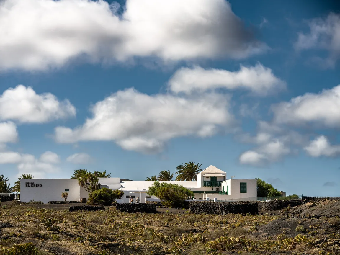 Museo el Grifo