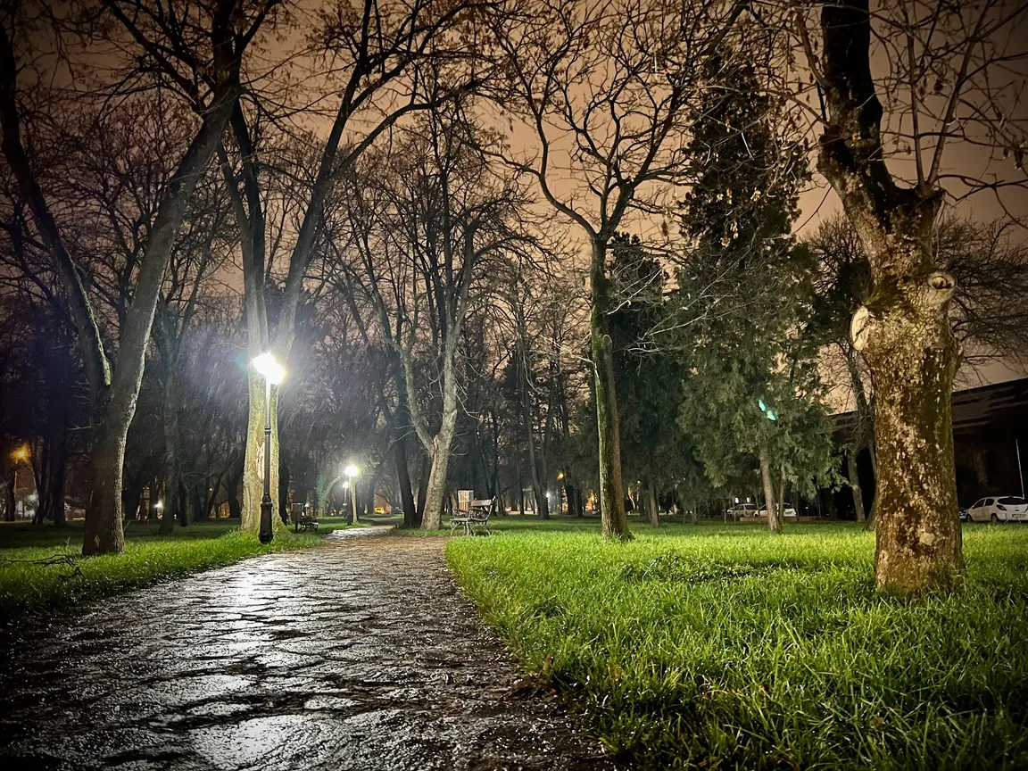 Parcul Civic