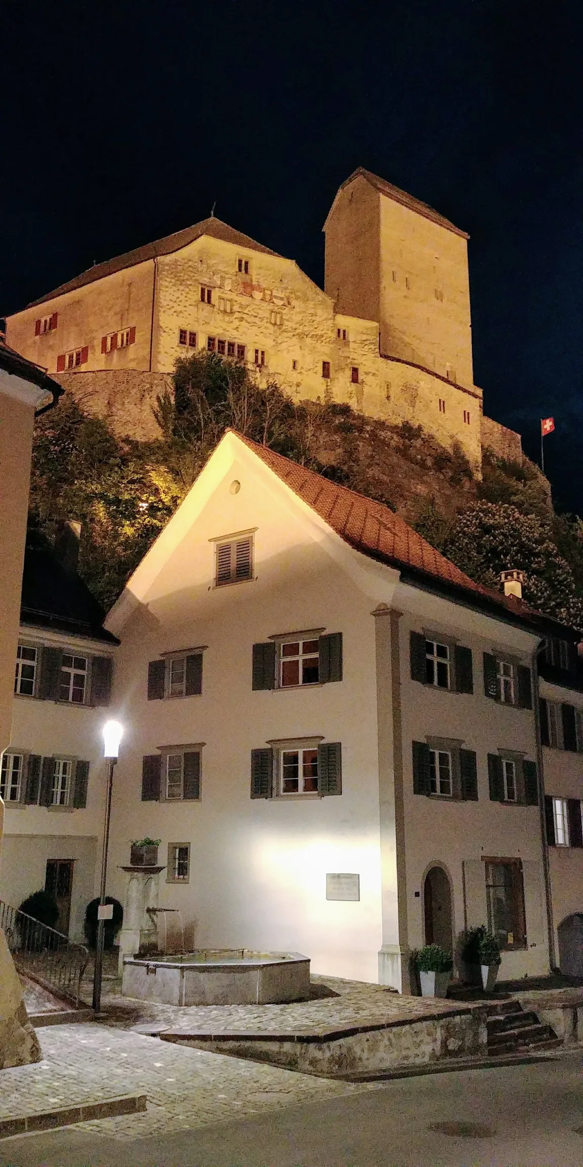 UNESCO-World Heritage Swiss Tektonic Arena Sardona