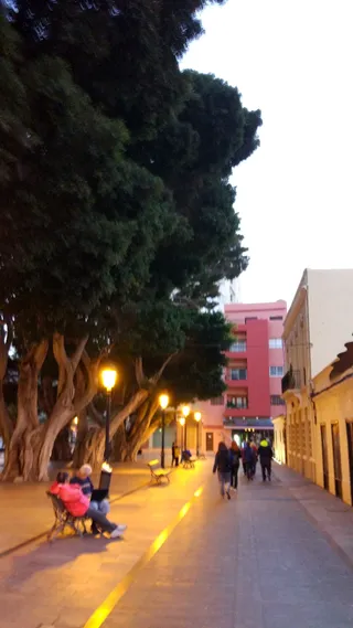 Alimentos de La Gomera - Cabildo Insular de La Gomera