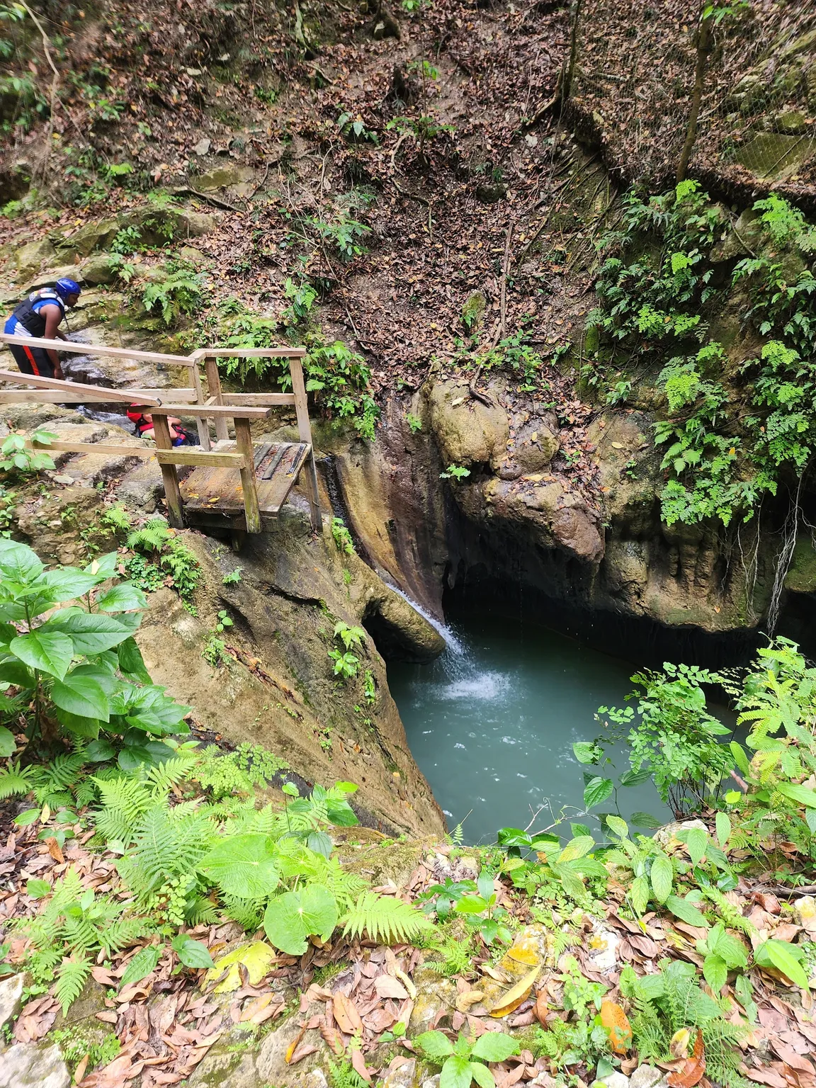 27 Waterfalls of Damajagua, Puerto Plata | Tours & Excursions