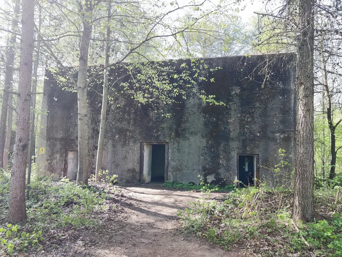 Mamerki Bunkry Muzeum