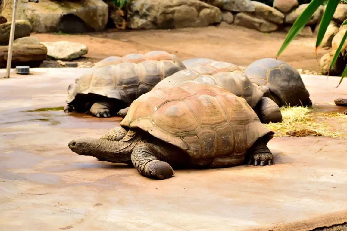 Hellabrunn Zoo