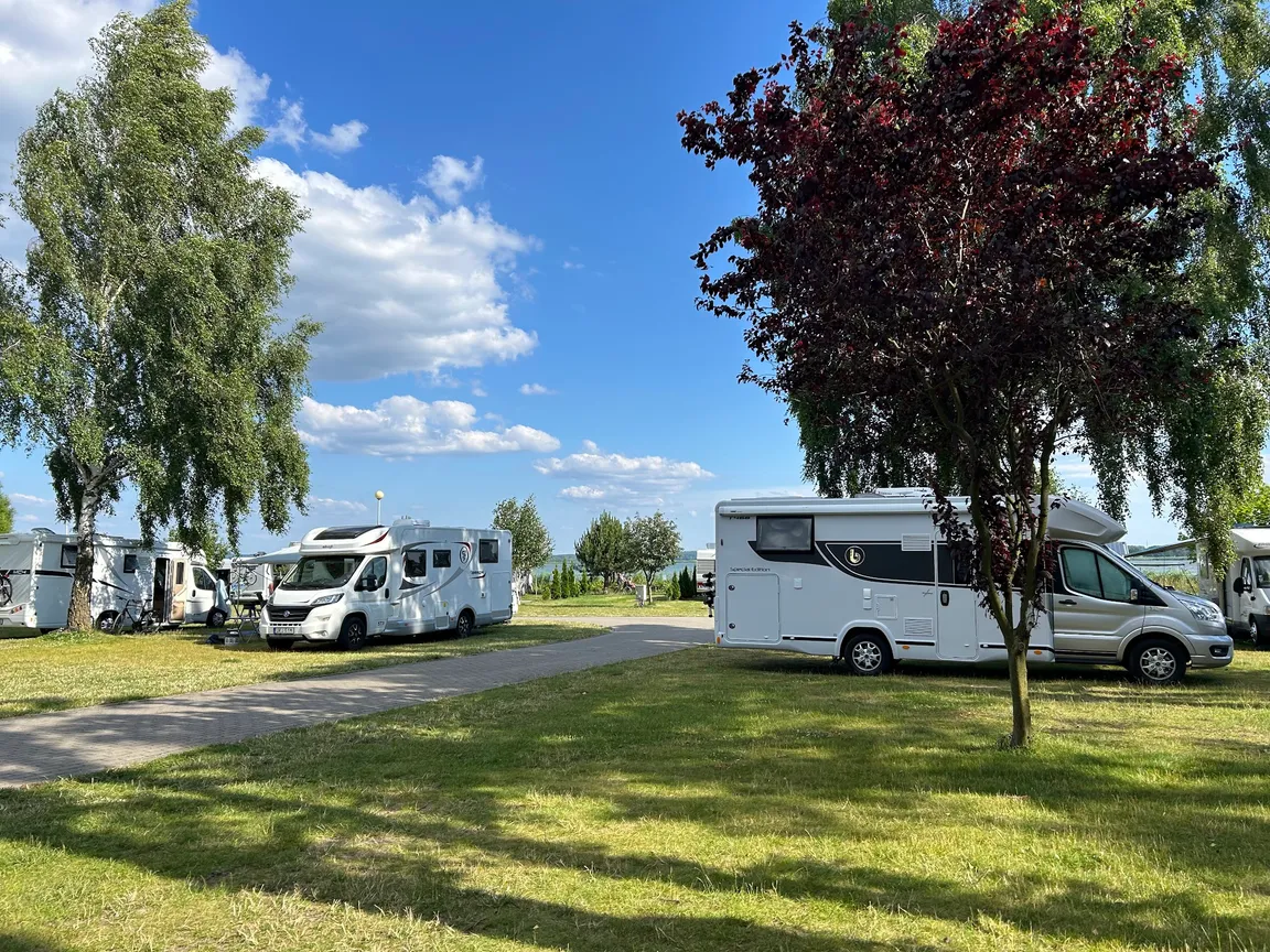 CAMPING NA GRANICY nr 125