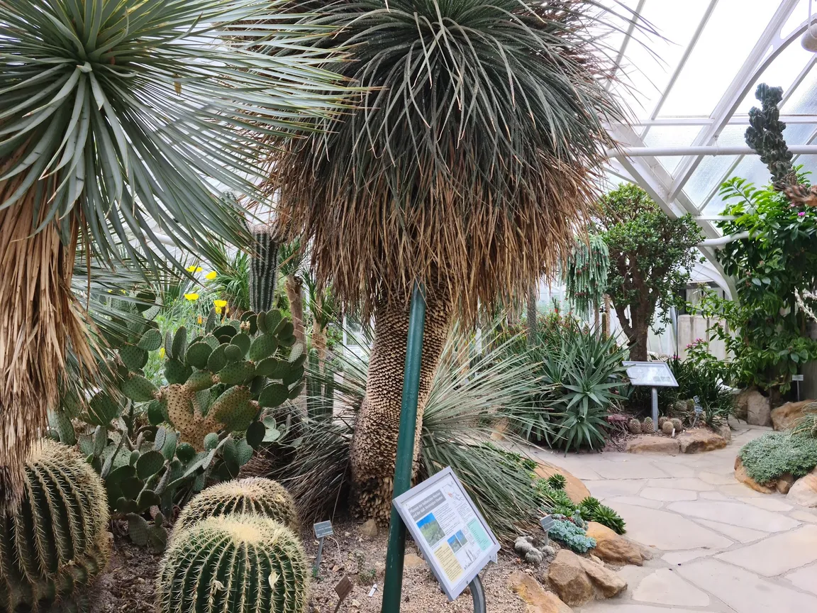 Botanical Garden of the Westphalian Wilhelm University of Münster