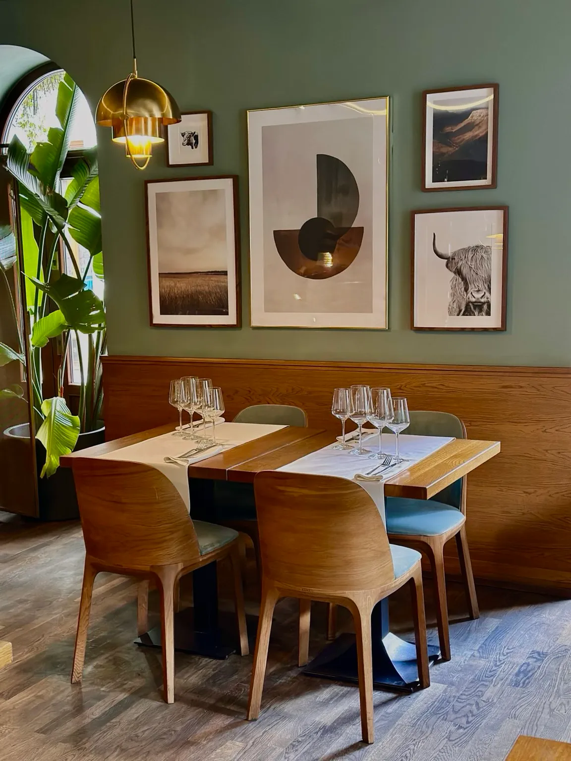 Pimiento Argentino Grill Restauracja Kraków Kazimierz