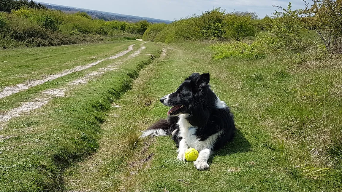 Highdown Hill