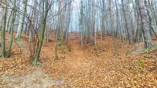 Czubata Góra wys. 324 m.n.p.m