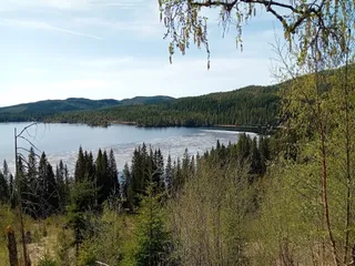 Grønlia