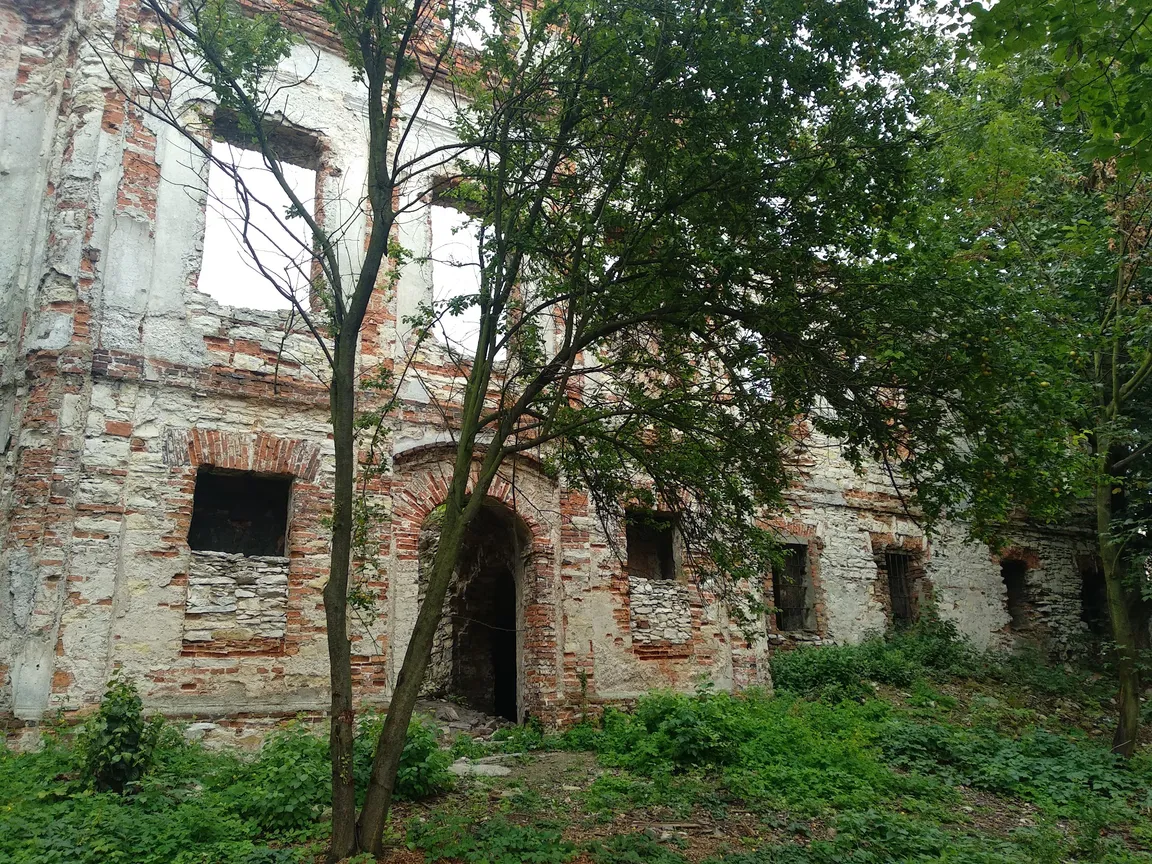 Ruiny pałacu we Włodowicach