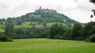 L'âne qui vole