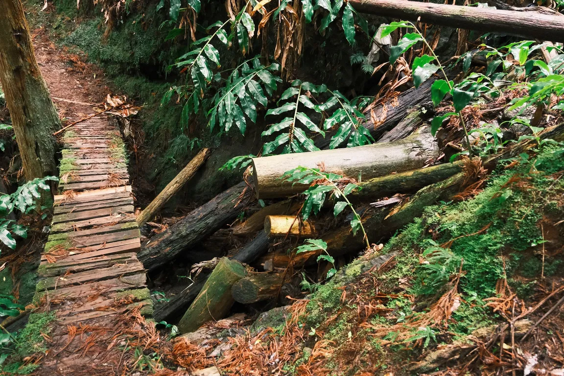 Ribeira do Faial da Terra Trailhead